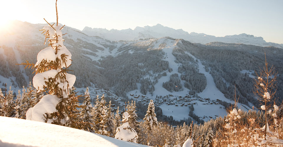 Photo: N.Joly OT Les Gets - Les Gets ski resort