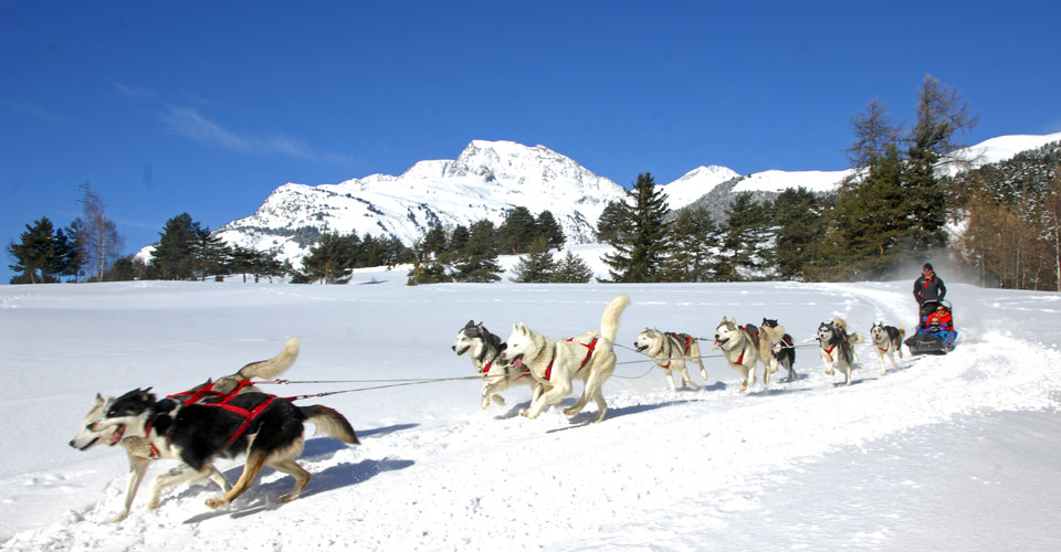 Photo: Joseph Jeanmart - husky sled ride in Val Cenis