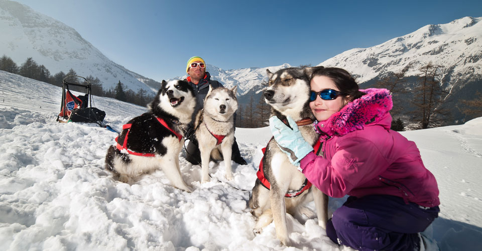 Photo: Alban Pernet - Val Cenis husky dogs